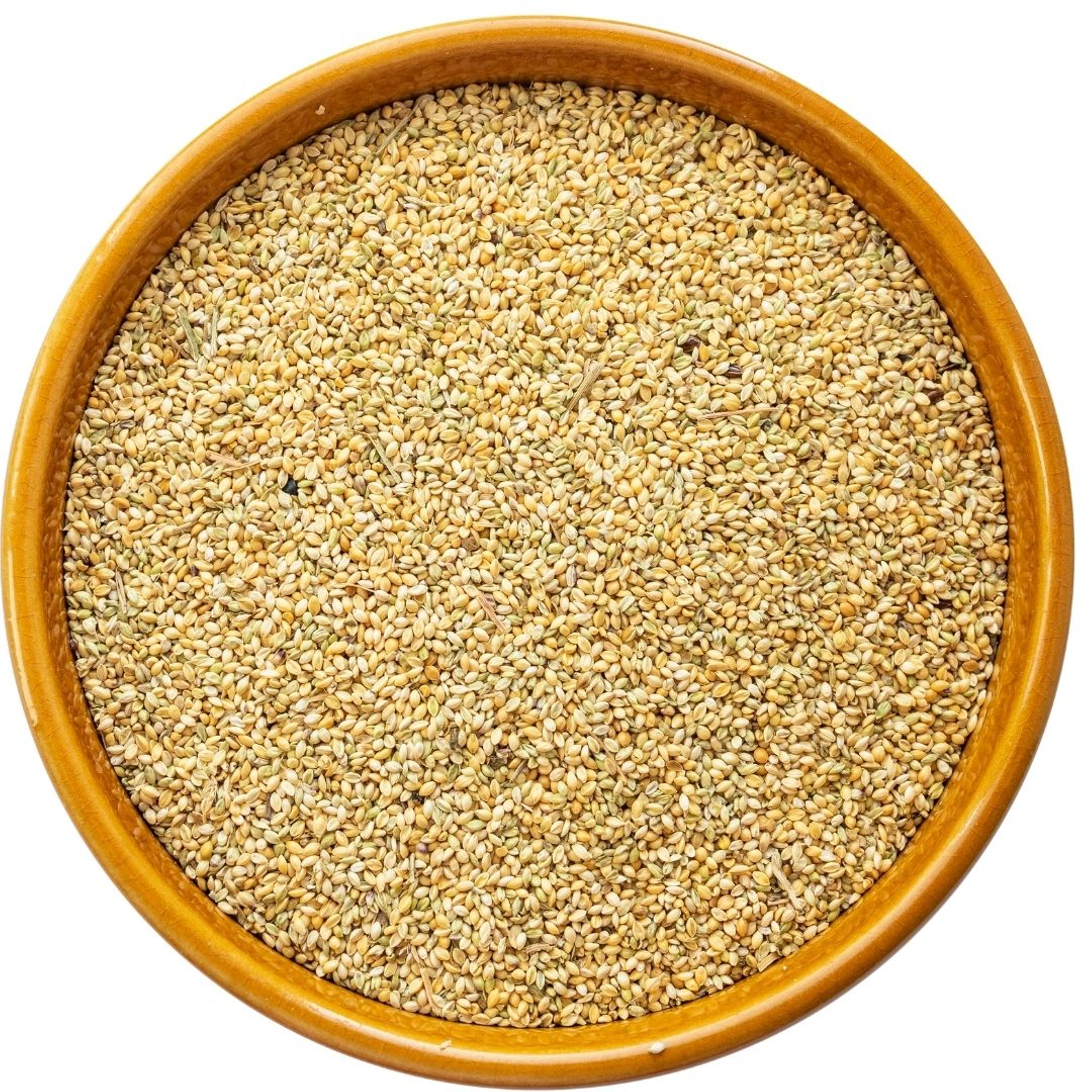 Foxtail Millet