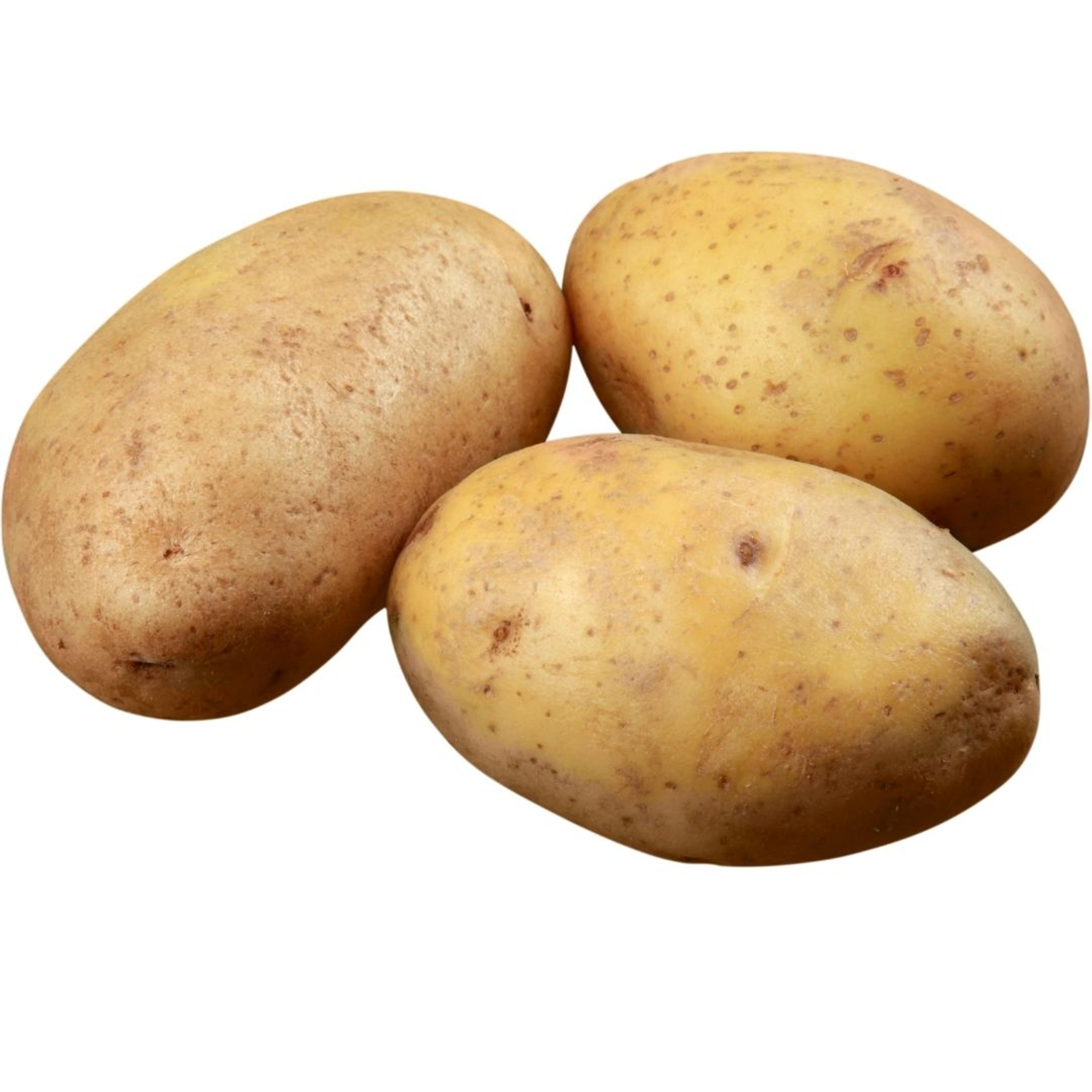 Potato